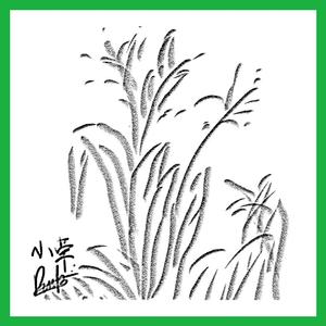 黑人40厘米全进去了欧美
