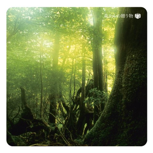 黑人40厘米全进去了欧美
